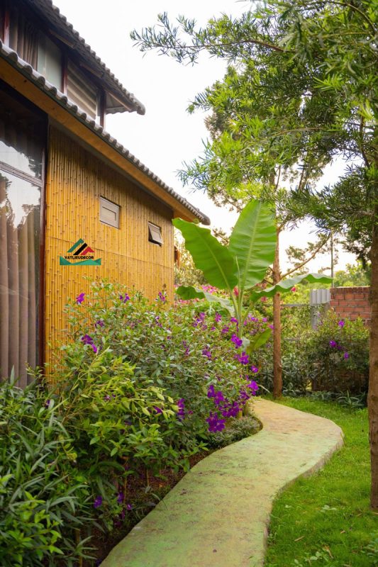 Vách nhà bằng tre nhân tạo đầy độc đáo 
